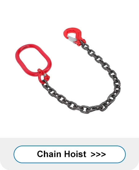 Chain Sling